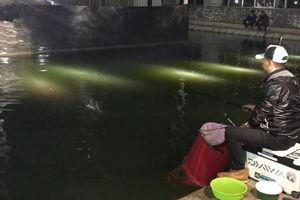 黑坑视频,揭秘水下世界精彩瞬间