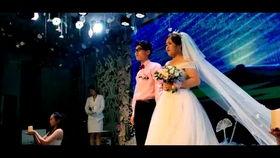 新婚视频视频播放,新婚视频播放背后的浪漫故事